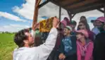 Les Marchés Publics de la Vallée-de-l'Or