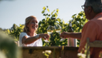 Domaine Vinéterra - dégustation vins et fromages, boutique  