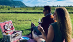 Domaine Vinéterra - dégustation vins et fromages, boutique  