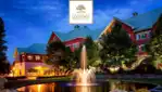 Auberge Godefroy - Forfaits Vedette