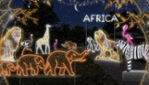 Féerie au Parc Safari - Venez découvrir un monde illuminé!