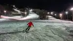 Camp Fortune - Ski, luge, Parc aérien et tyroliennes