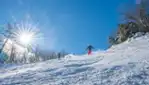 Camp Fortune - Ski, luge, Parc aérien et tyroliennes