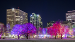 Lumières d'hiver au Canada