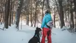 Quoi Faire dans la Vallée-de-la-Gatineau