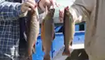 Zec Jaro - Activités plein air, Chasse et Pêche au Québec