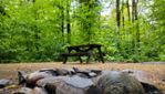 CAMPING ET HÉBERGEMENTS LOCATIFS AU PARC DE LA RIVIÈRE BATISCAN