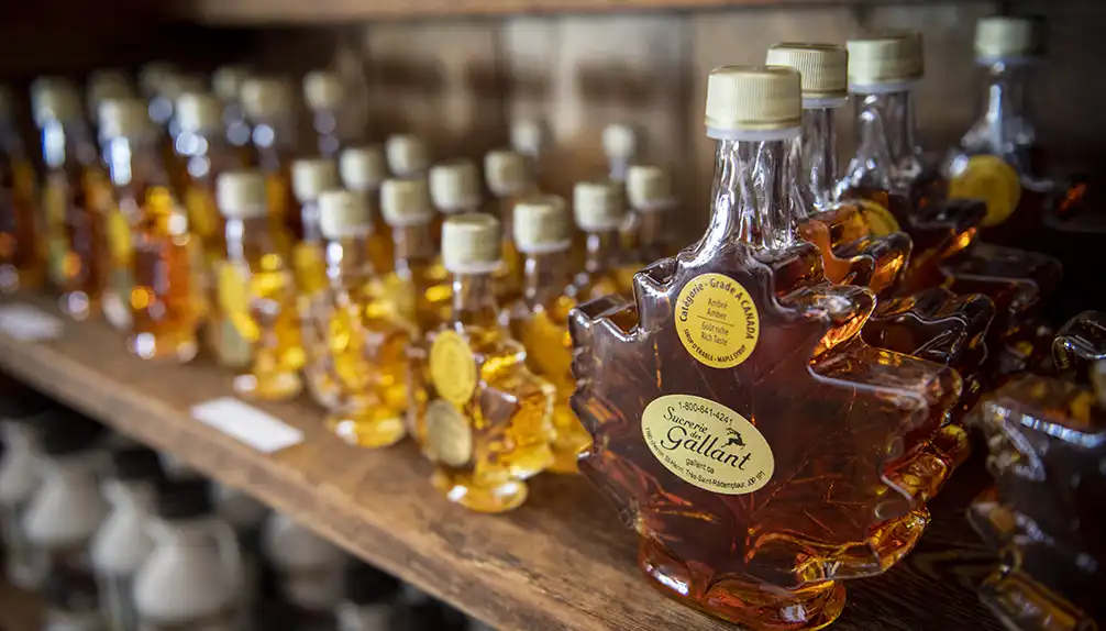 La Sucrerie des Gallant - érablière