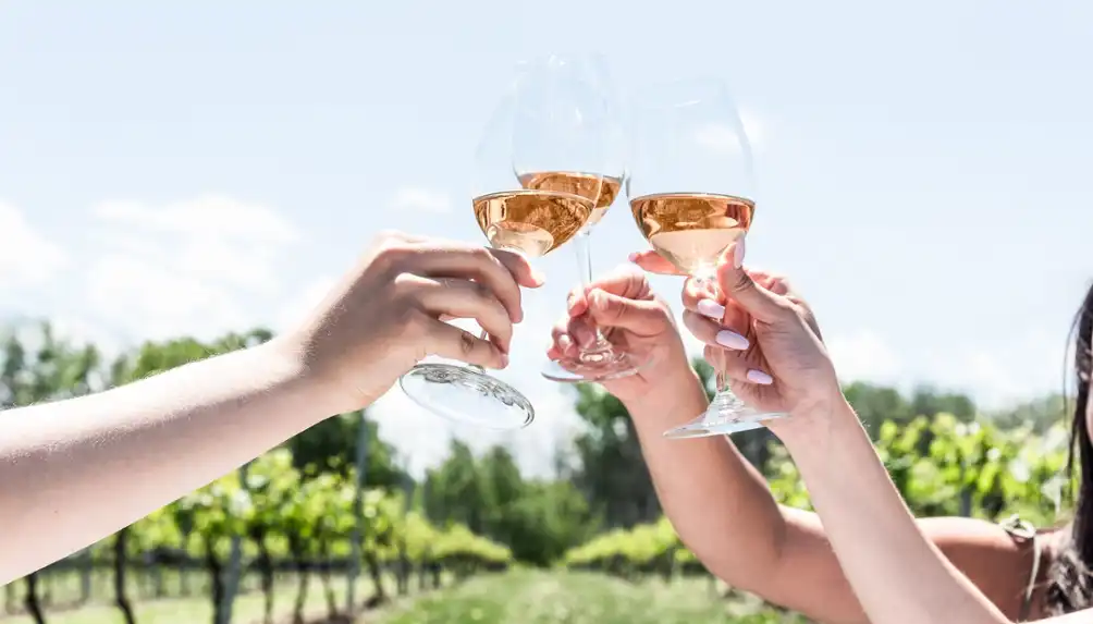Le Mas des patriotes Vignoble Nordique Biologique