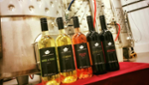 Le Bourg des Cèdres Vignoble