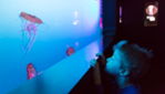 Aquarium du Québec (Aquarium de Quebec) 
