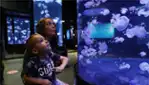 Aquarium du Québec (Aquarium de Quebec) 