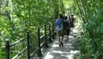 Le mont Royal : du plaisir pour tous les âges! 