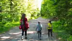 Les Parcours D'hébertisme Aérien du Parc du Domaine Vert - Arbre en arbre