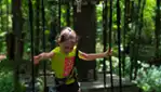 Les Parcours D'hébertisme Aérien du Parc du Domaine Vert - Arbre en arbre