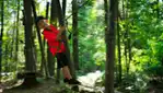 Les Parcours D'hébertisme Aérien du Parc du Domaine Vert - Arbre en arbre