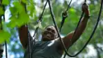 Les Parcours D'hébertisme Aérien du Parc du Domaine Vert 