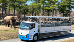 Parc Safari - Pour un Safari Aventure!