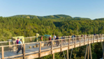 Le Sentier des Cimes au coeur des Laurentides - MONTEZ VOIR COMME C'EST BEAU ! 