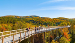 Le Sentier des Cimes au coeur des Laurentides - MONTEZ VOIR COMME C'EST BEAU ! 