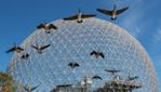 Biosphère de Montréal, Musée de l'environnement