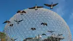 Biosphère de Montréal - Espace pour la vie