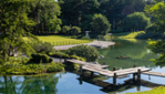 Jardin botanique - Espace pour la vie