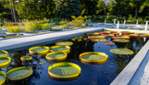 Jardin botanique - Espace pour la vie