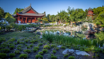 Jardin botanique - Espace pour la vie