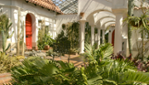 Jardin botanique - Espace pour la vie