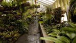 Jardin botanique - Espace pour la vie