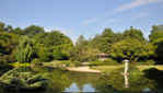 Jardin botanique - Espace pour la vie