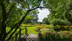 Jardin botanique de Montréal - Espace pour la vie