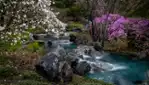 Jardin botanique de Montréal - Espace pour la vie