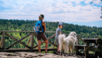 Découvrez l'Abitibi-Témiscamingue