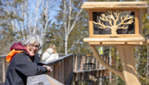 Le Sentier des Cimes au coeur des Laurentides - MONTEZ VOIR COMME C'EST BEAU ! 