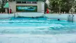 Éco-Parc des Etchemins - activités aquatiques familiales