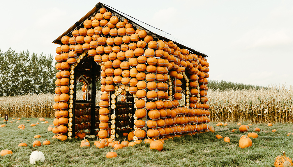 Citrouilleville Villages de citrouilles StZotique Fiche