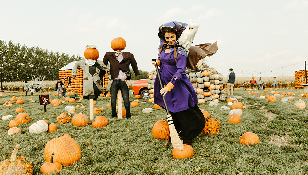 Citrouilleville Villages de citrouilles StZotique Fiche