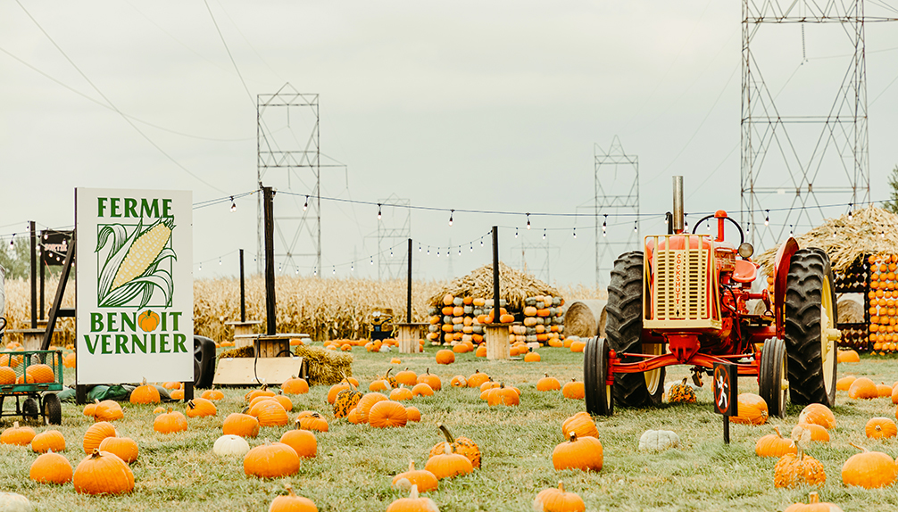 Citrouilleville Villages de citrouilles StZotique Fiche