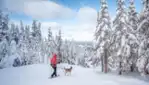 Parc des Appalaches