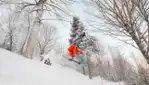 Parc des Appalaches