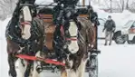 Tourisme Témiscamingue