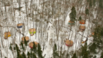 Centre Castor Valcartier