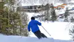 Centre Vorlage - Vélo de montagne, planche à neige, raquette et fatbike
