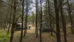 Sites de camping en foret - Parc de la Matawinie