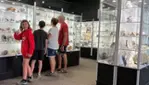 Parc Safari, Pas Bête !