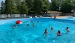 Parc Safari, Pas Bête !
