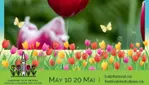 Amphibus lady Dive - Visitez le Festival des Tulipes du 10 au 20 mai ! 