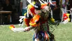 Pow Wow International de Wendake - Expérience autochtone 